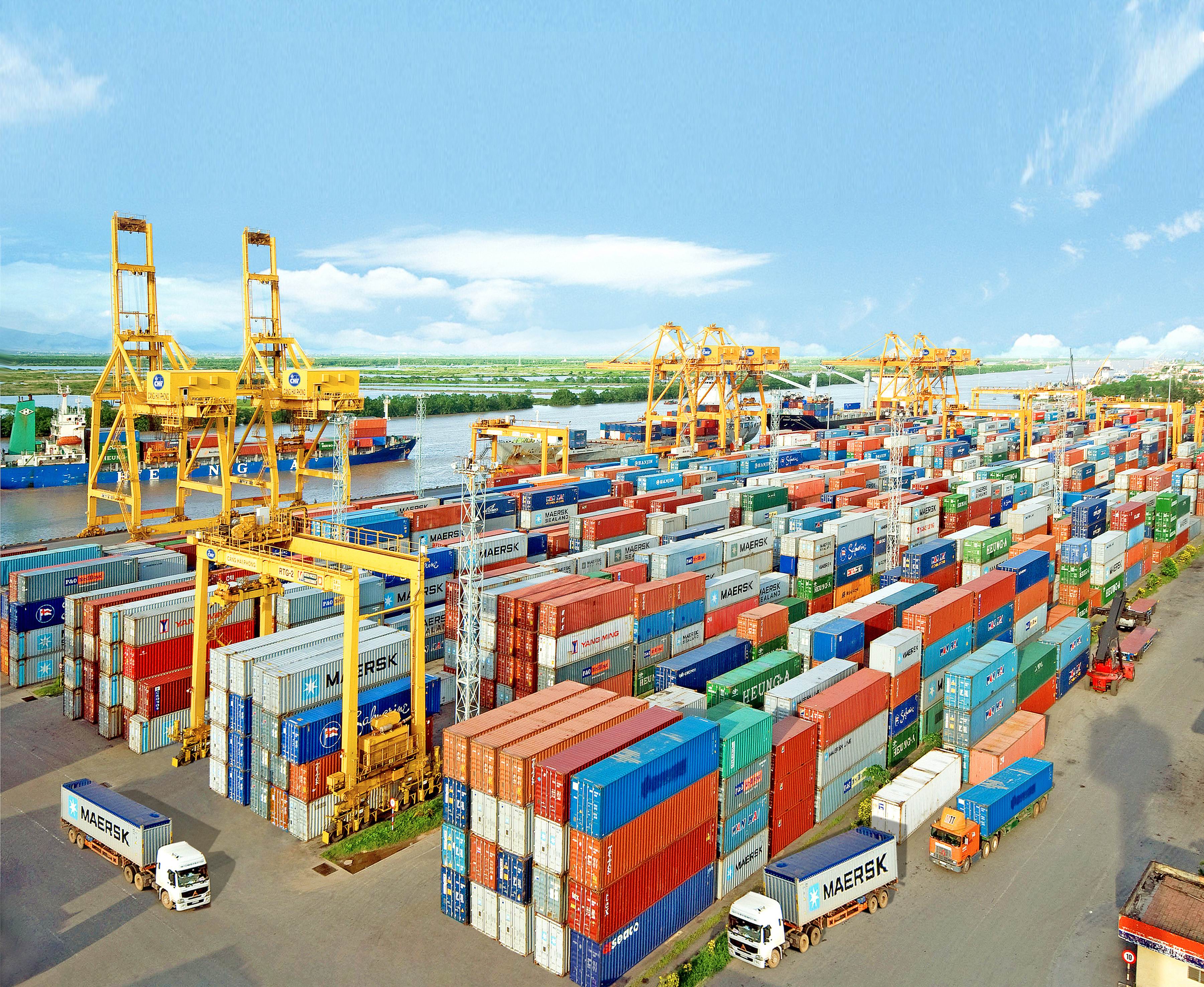 Hướng dẫn điền tờ khai hàng hóa xuất khẩu (thông quan) đúng quy định