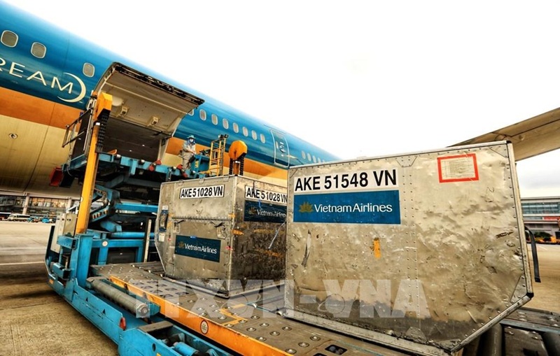 Quy Trình Nhập Khẩu Thiết Bị Y Tế Theo Quy Định Mới Nhất 1 vận chuyển hàng y tế